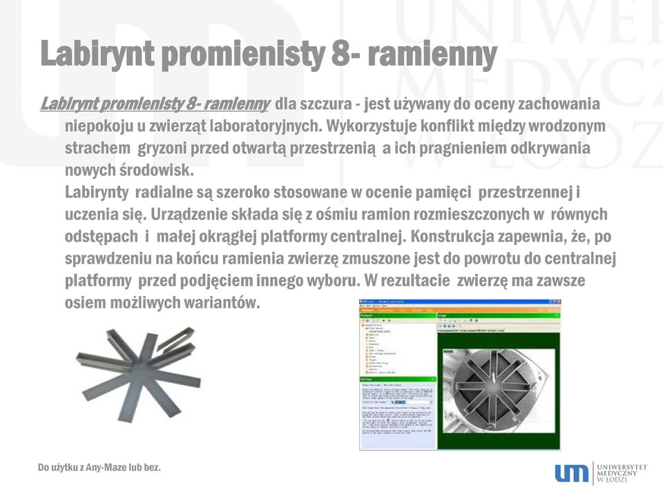 Labirynty radialne są szeroko stosowane w ocenie pamięci przestrzennej i uczenia się.