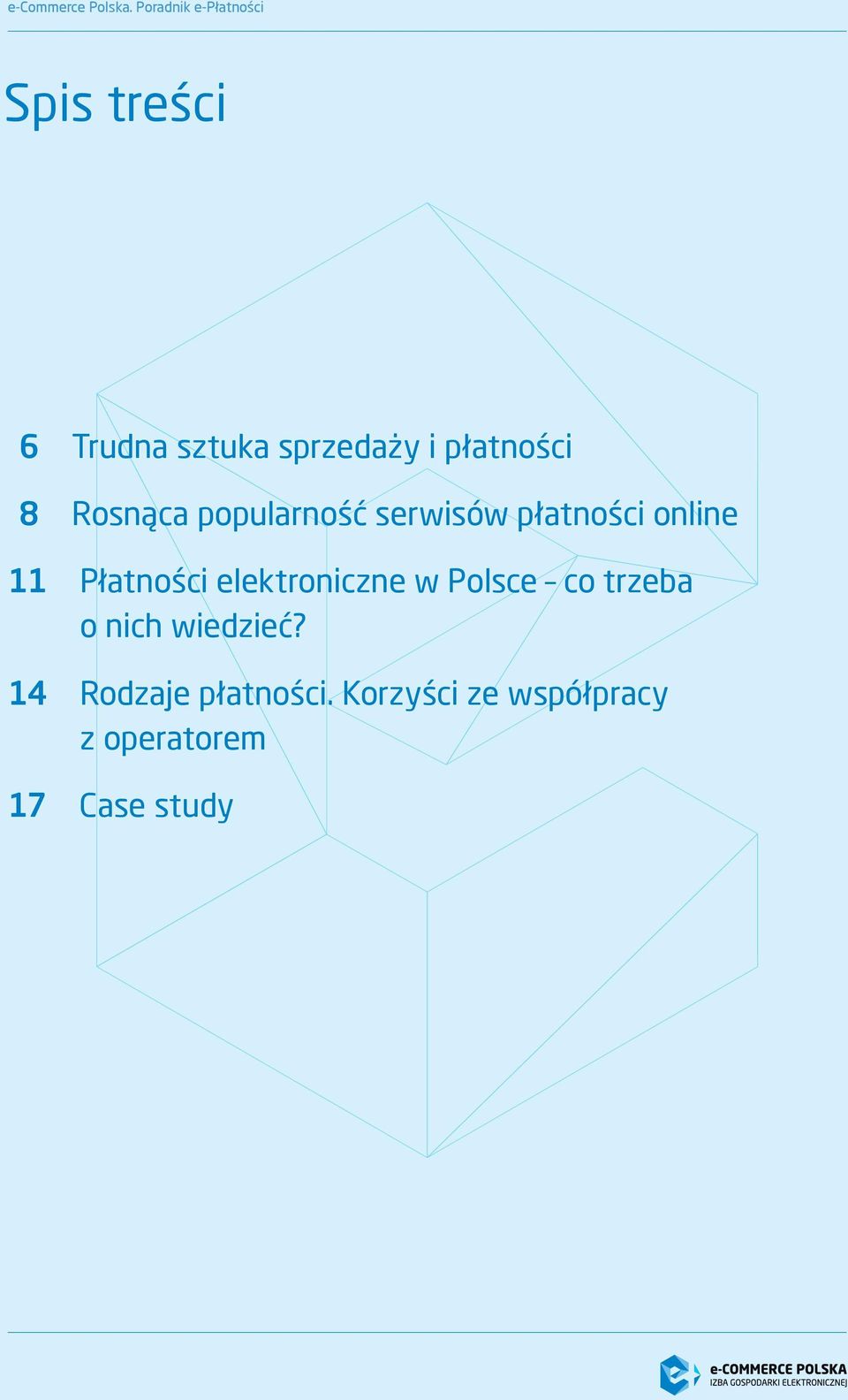 Płatności elektroniczne w Polsce co trzeba o nich