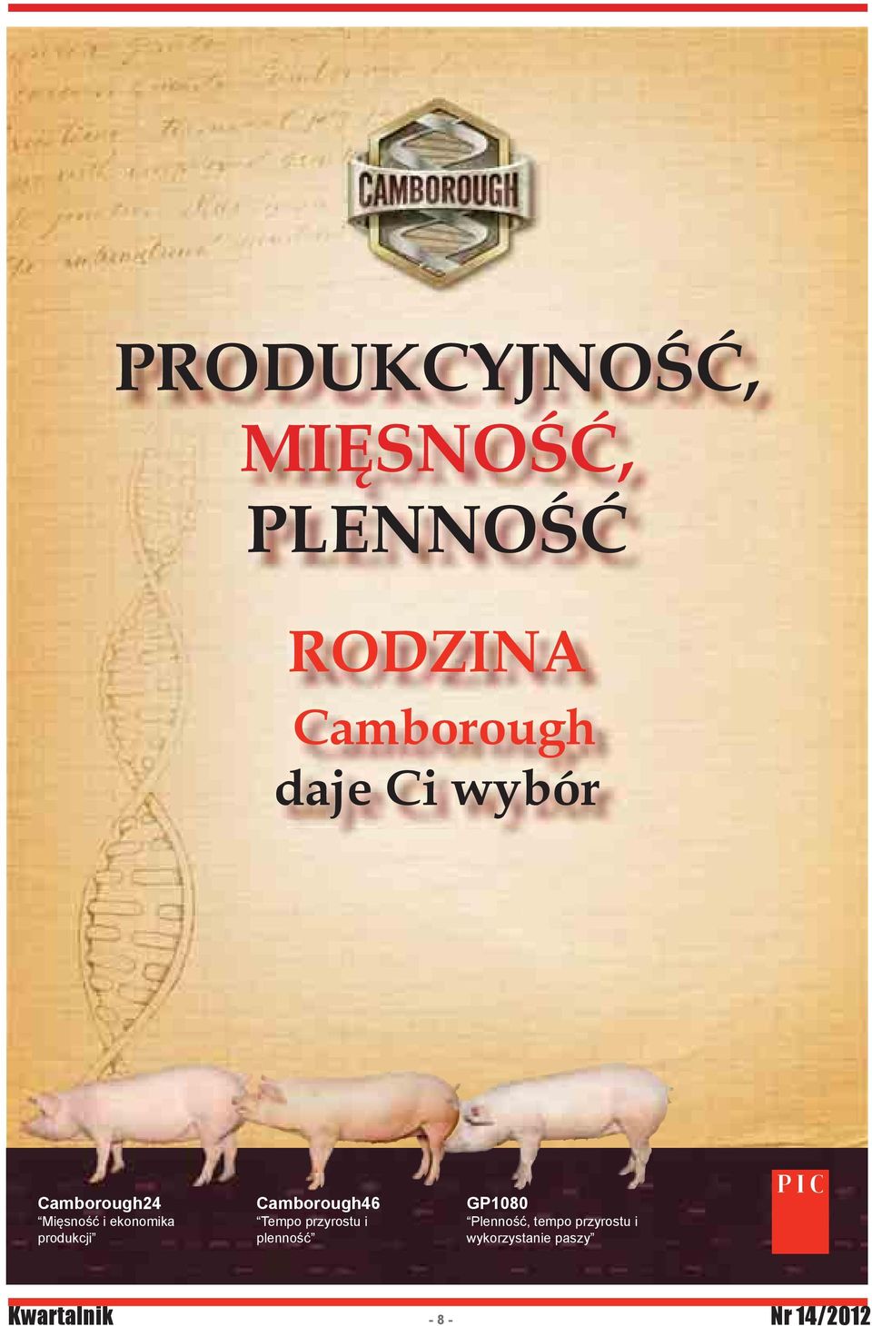 produkcji Camborough46 Tempo przyrostu i plenność