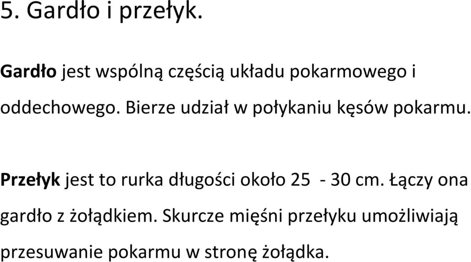 Bierze udział w połykaniu kęsów pokarmu.