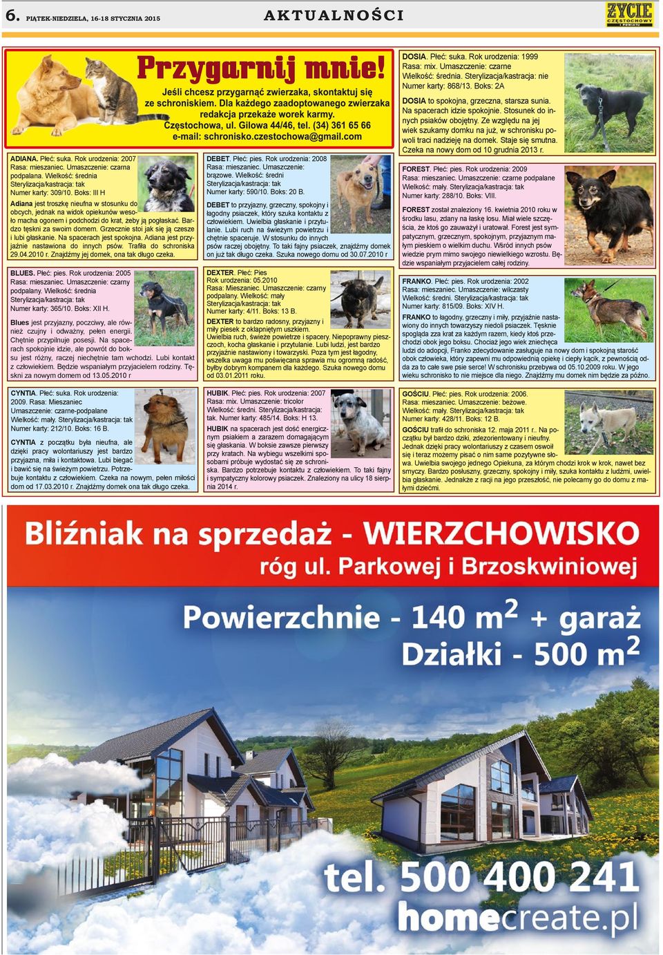 Boks: III H Adiana jest troszkę nieufna w stosunku do obcych, jednak na widok opiekunów wesoło macha ogonem i podchodzi do krat, żeby ją pogłaskać. Bardzo tęskni za swoim domem.