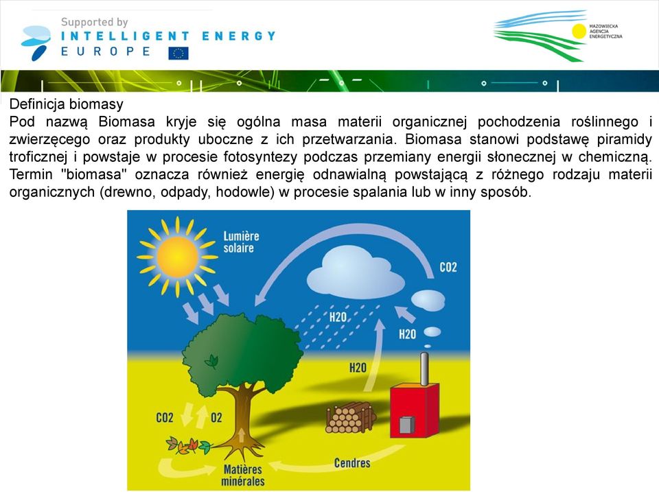 Biomasa stanowi podstawę piramidy troficznej i powstaje w procesie fotosyntezy podczas przemiany energii