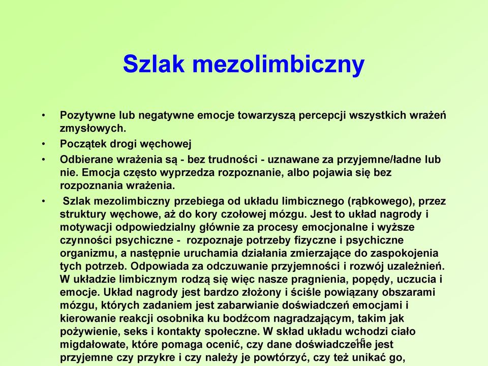 Szlak mezolimbiczny przebiega od układu limbicznego (rąbkowego), przez struktury węchowe, aż do kory czołowej mózgu.