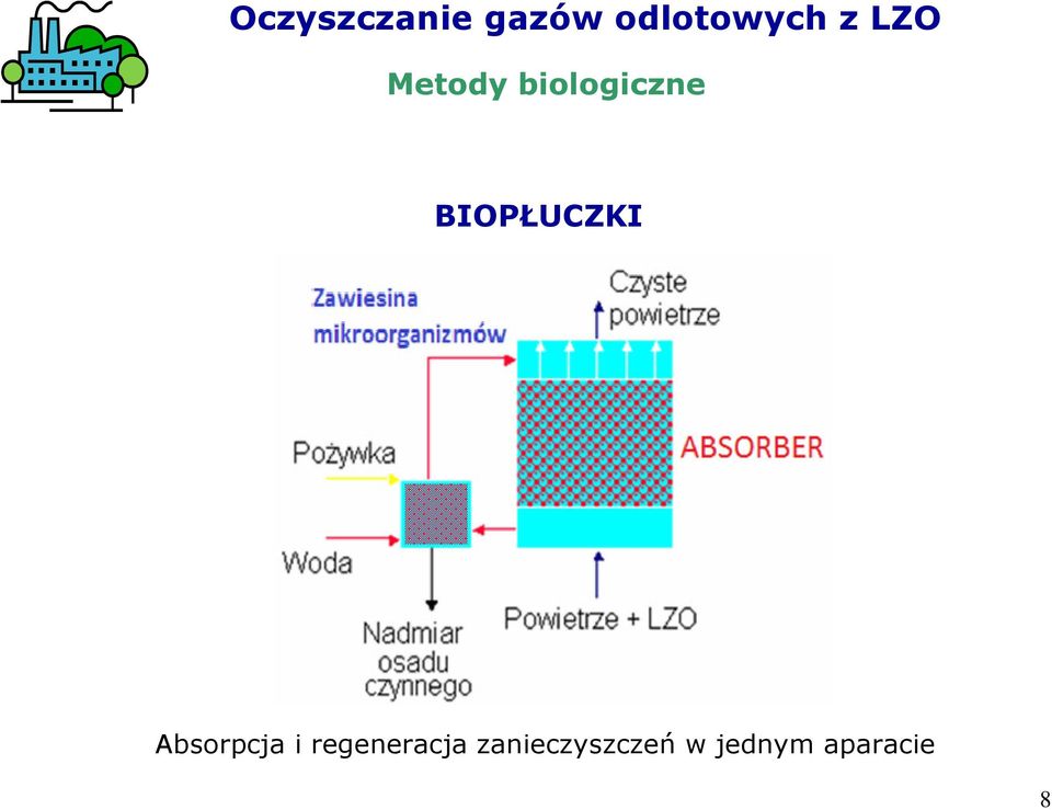 BIOPŁUCZKI Absorpcja i