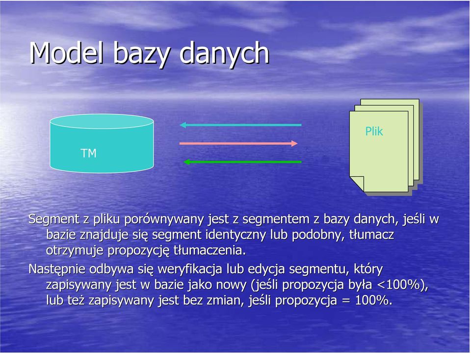 Następnie odbywa się weryfikacja lub edycja segmentu, który zapisywany jest w bazie jako nowy