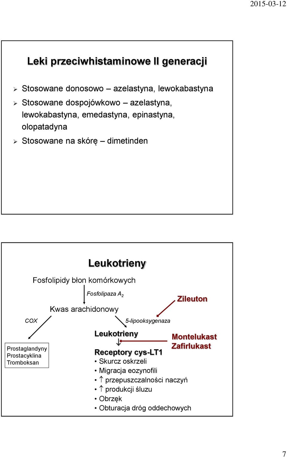 Fosfolipaza A 2 Kwas arachidonowy Zileuton COX Prostaglandyny Prostacyklina Tromboksan 5-lipooksygenaza Leukotrieny Montelukast