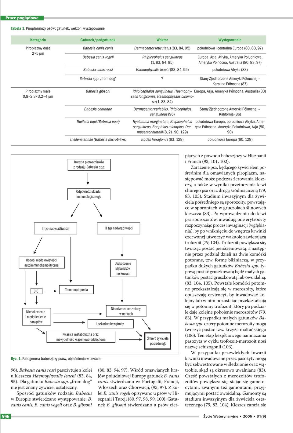 (83, 84, 95) południowa i centralna Europa (80, 83, 97) Babesia canis vogeli Rhipicephalus sanguineus (1, 83, 84, 95) Europa, Azja, Afryka, Ameryka Południowa, Ameryka Północna, Australia (80, 83,