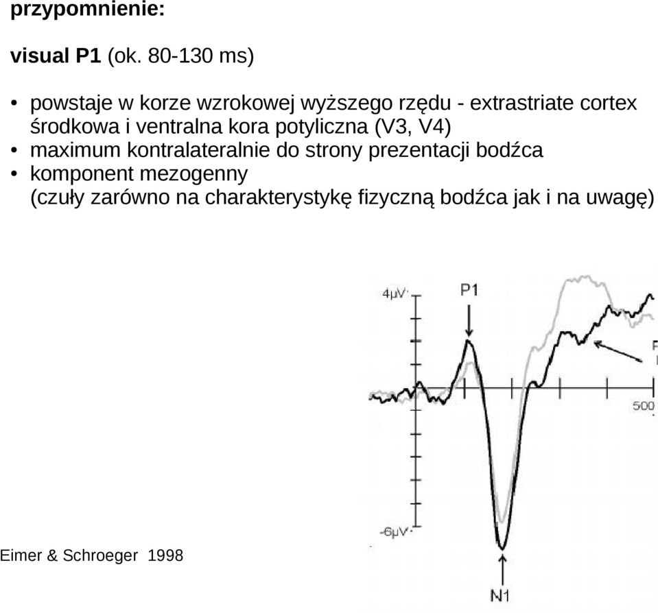 środkowa i ventralna kora potyliczna (V3, V4) maximum kontralateralnie do