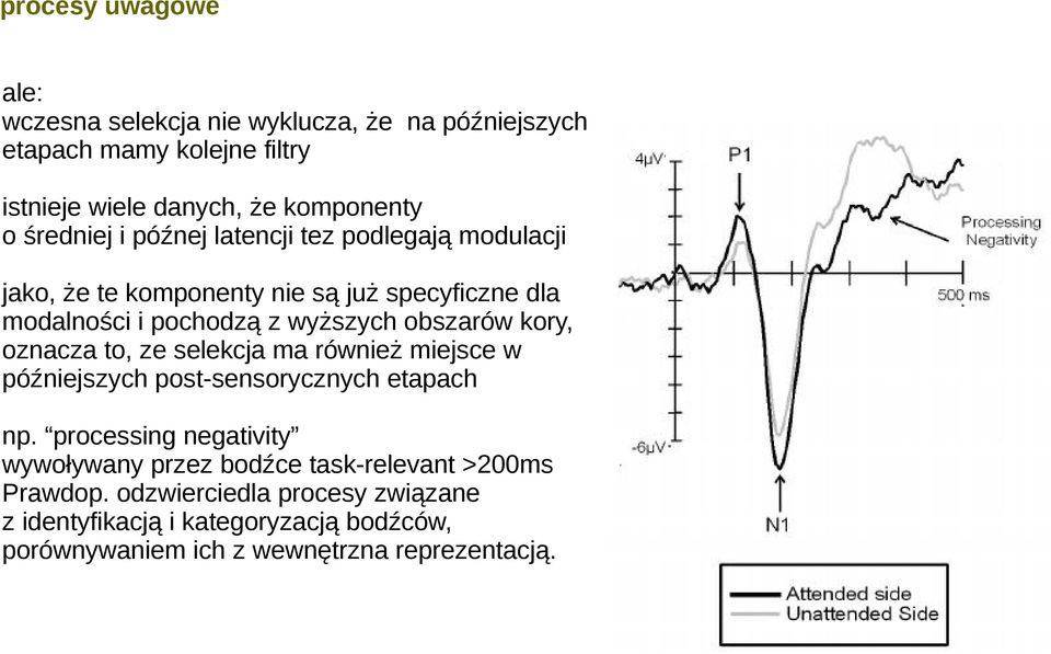 kory, oznacza to, ze selekcja ma również miejsce w późniejszych post-sensorycznych etapach np.