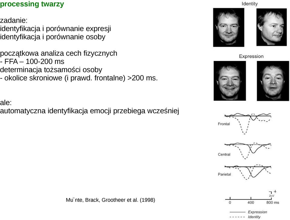 tożsamości osoby - okolice skroniowe (i prawd. frontalne) >200 ms.