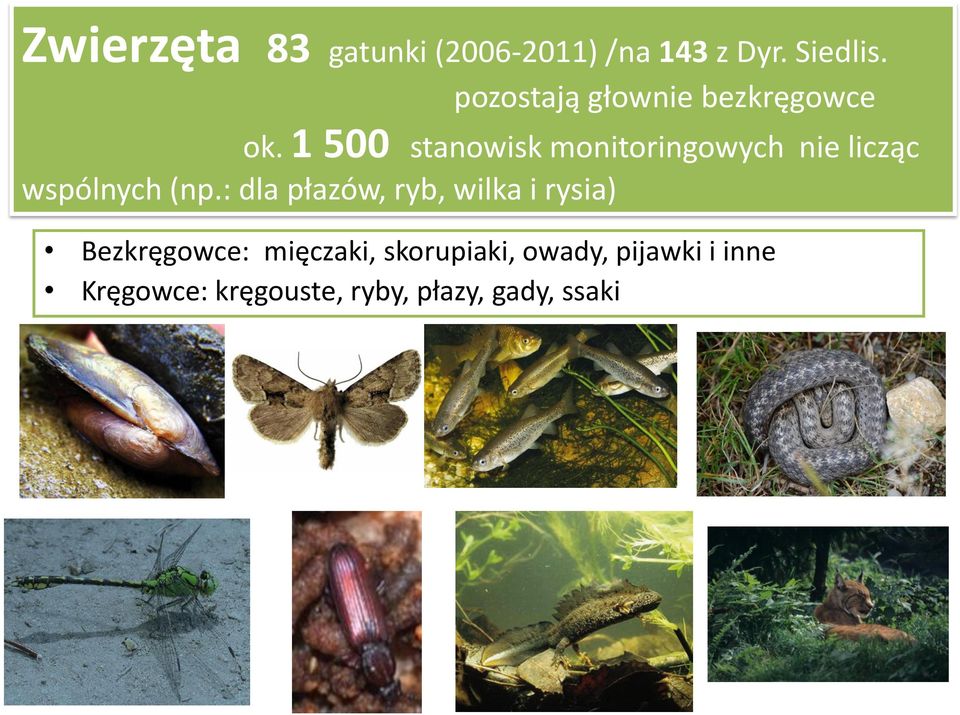 1 500 stanowisk monitoringowych nie licząc wspólnych (np.