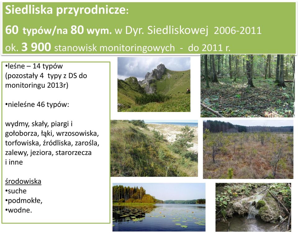 leśne 14 typów (pozostały 4 typy z DS do monitoringu 2013r) nieleśne 46 typów: wydmy,