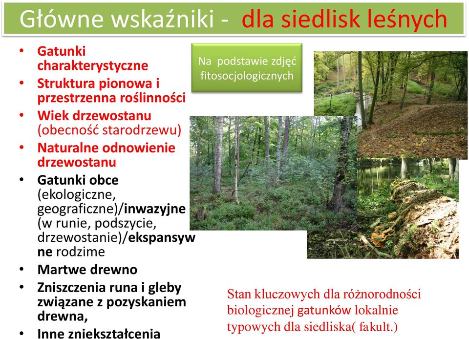 drzewostanie)/ekspansyw ne rodzime Martwe drewno Zniszczenia runa i gleby związane z pozyskaniem drewna, Inne zniekształcenia Na