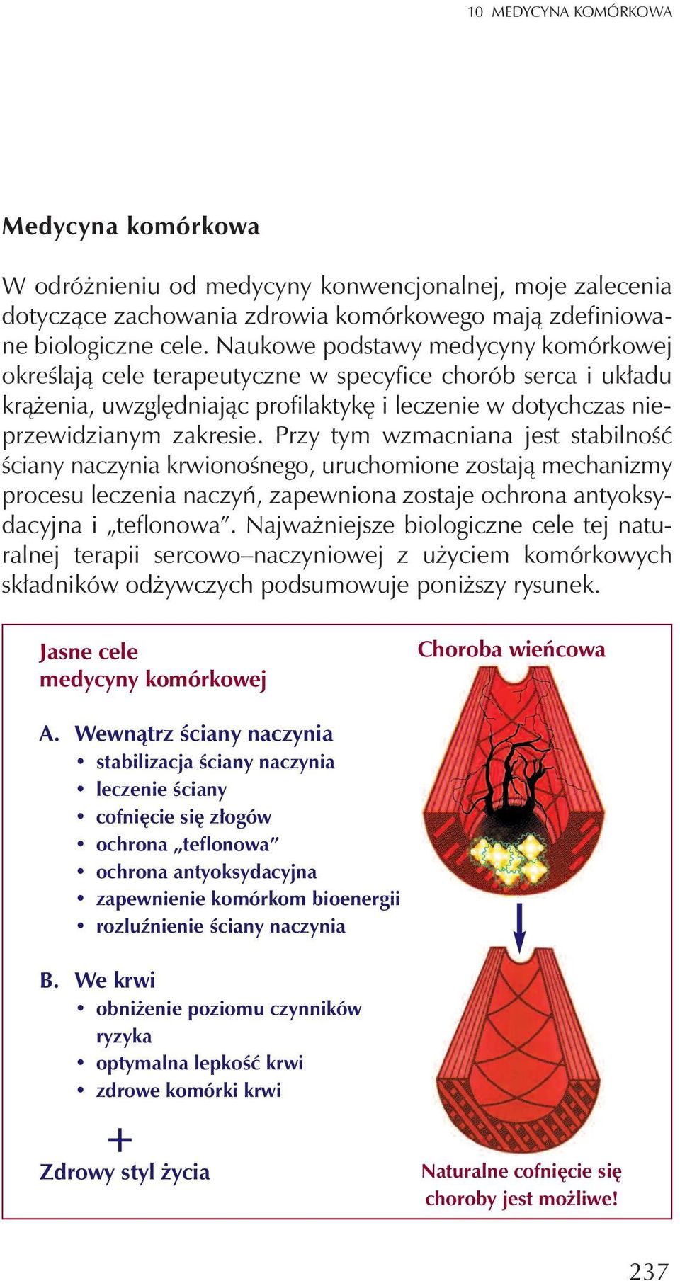 Przy tym wzmacniana jest stabilnoœæ œciany naczynia krwionoœnego, uruchomione zostaj¹ mechanizmy procesu leczenia naczyñ, zapewniona zostaje ochrona antyoksydacyjna i teflonowa.