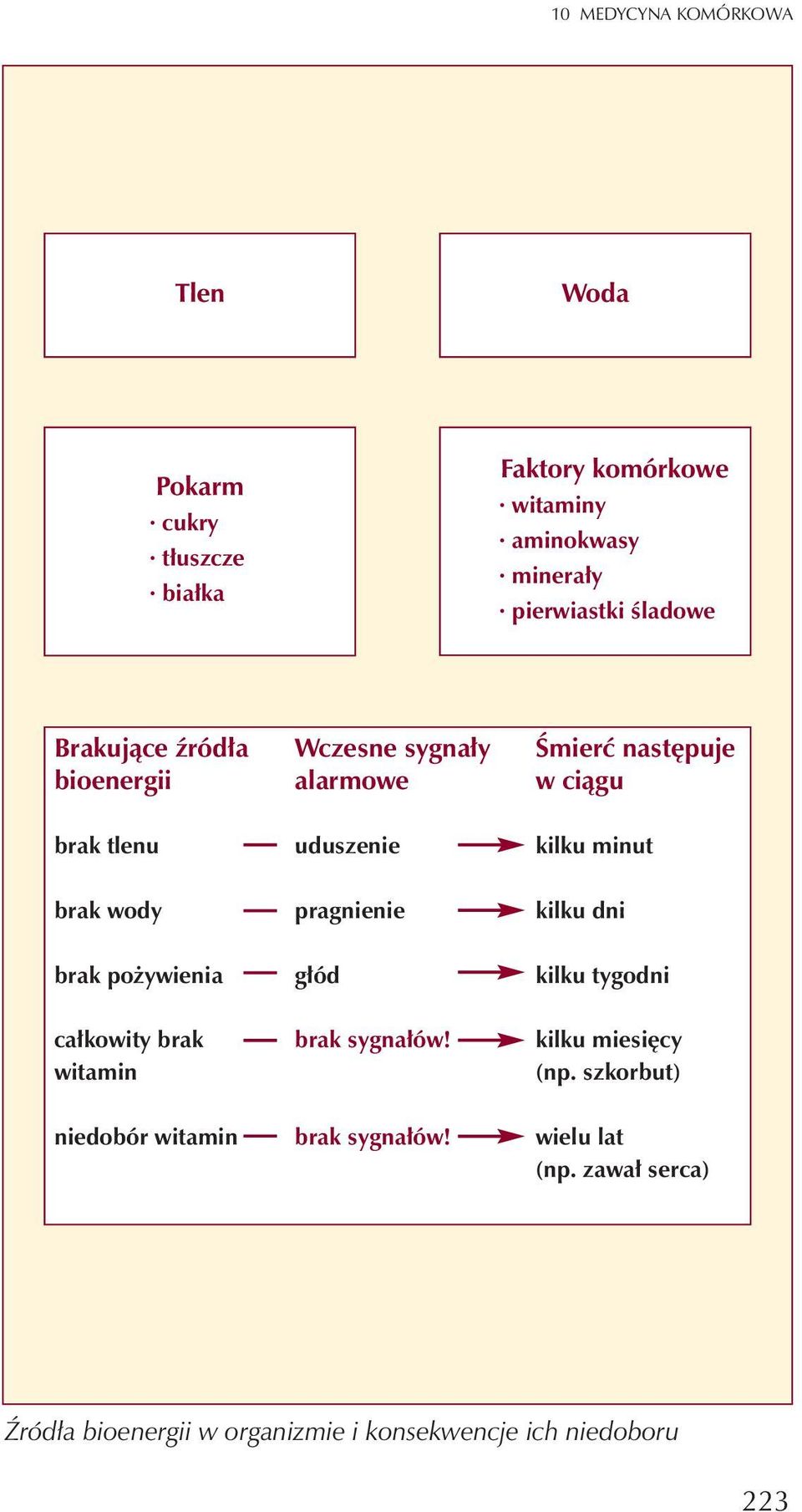 wody pragnienie kilku dni brak po ywienia g³ód kilku tygodni ca³kowity brak witamin brak sygna³ów! kilku miesiêcy (np.