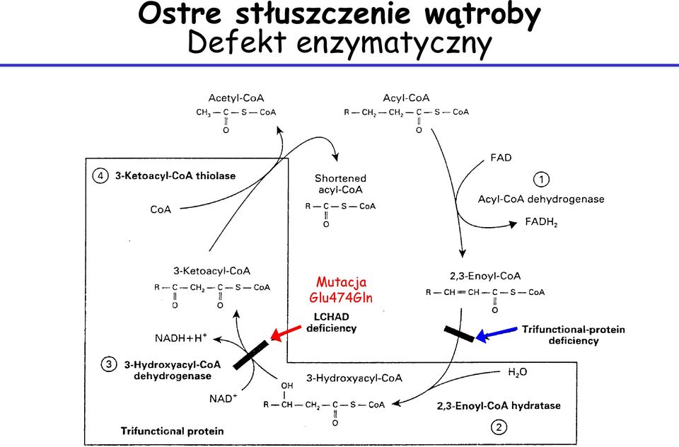 wątroby Defekt