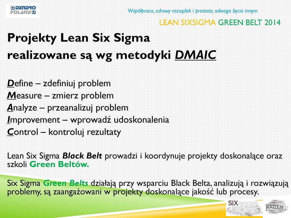 Black Belt prowadzi i koordynuje projekty doskonalące oraz szkoli Green Beltów.