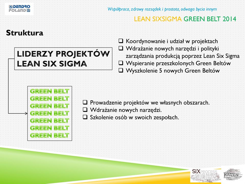 Sigma Wspieranie przeszkolonych Green Beltów Wyszkolenie 5 nowych Green Beltów Prowadzenie