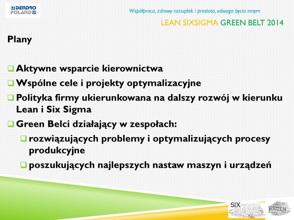 Lean i Six Sigma Green Belci działający w zespołach: rozwiązujących