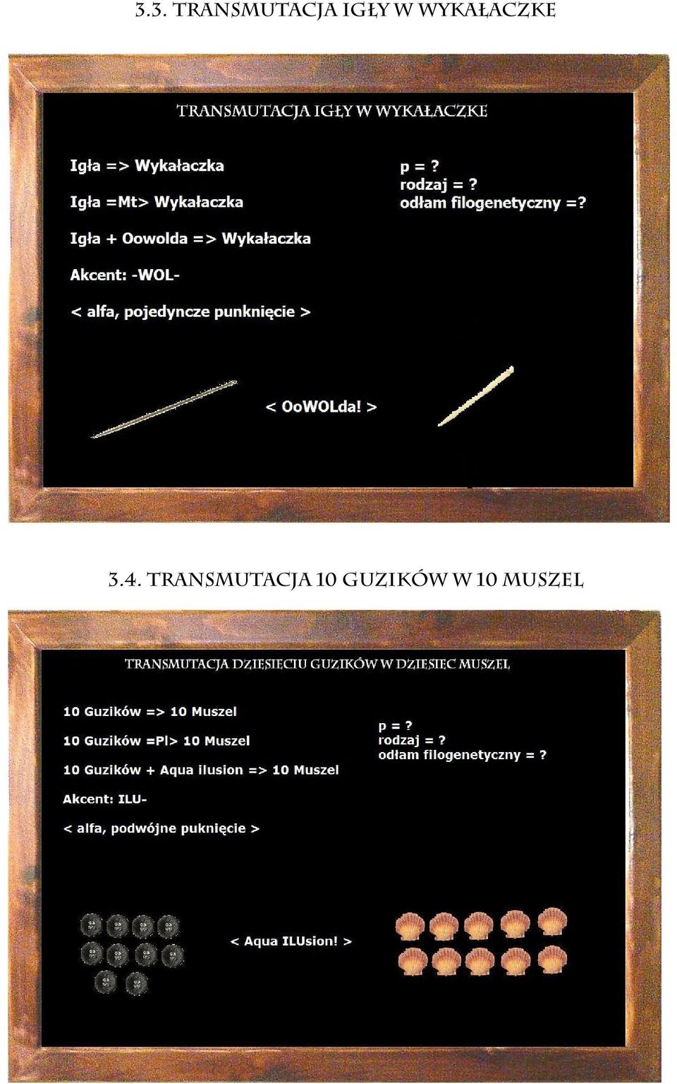 3.4. TRANSMUTACJA