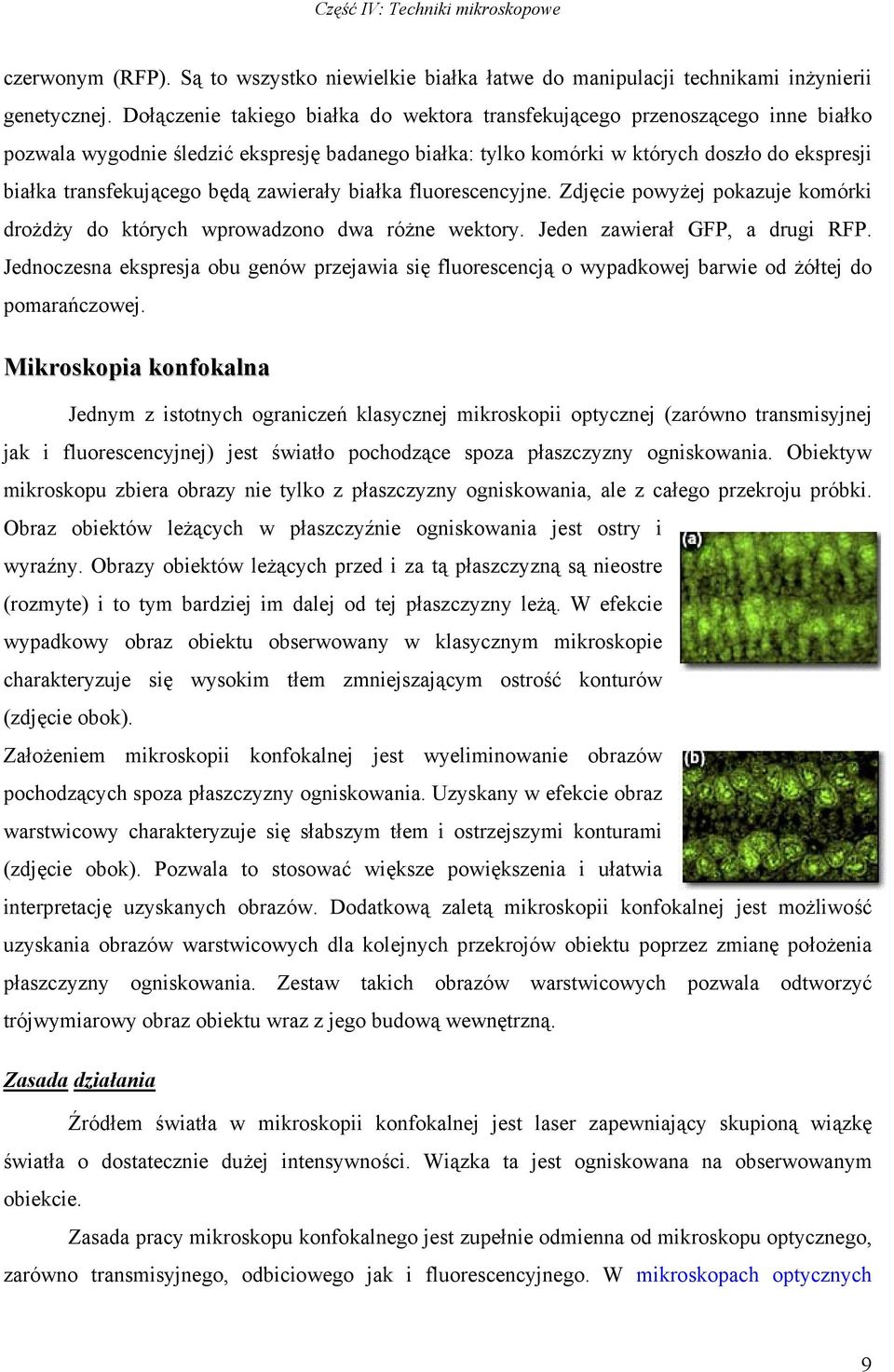 będą zawierały białka fluorescencyjne. Zdjęcie powyżej pokazuje komórki drożdży do których wprowadzono dwa różne wektory. Jeden zawierał GFP, a drugi RFP.