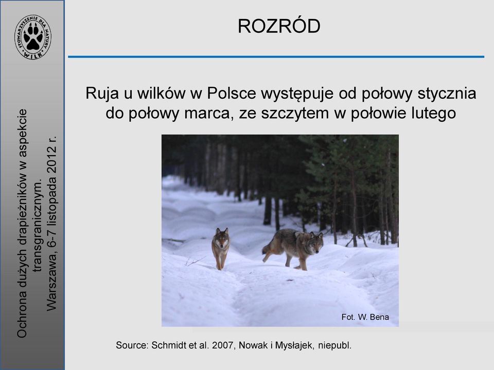 szczytem w połowie lutego Fot. W.