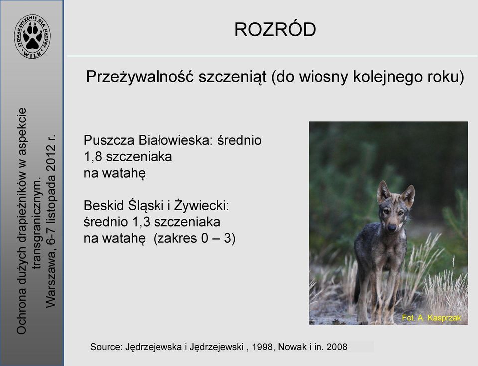 Śląski i Żywiecki: średnio 1,3 szczeniaka na watahę (zakres 0 3)