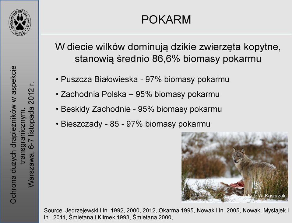 biomasy pokarmu Bieszczady - 85-97% biomasy pokarmu Fot. A. Kasprzak Source: Jędrzejewski i in.