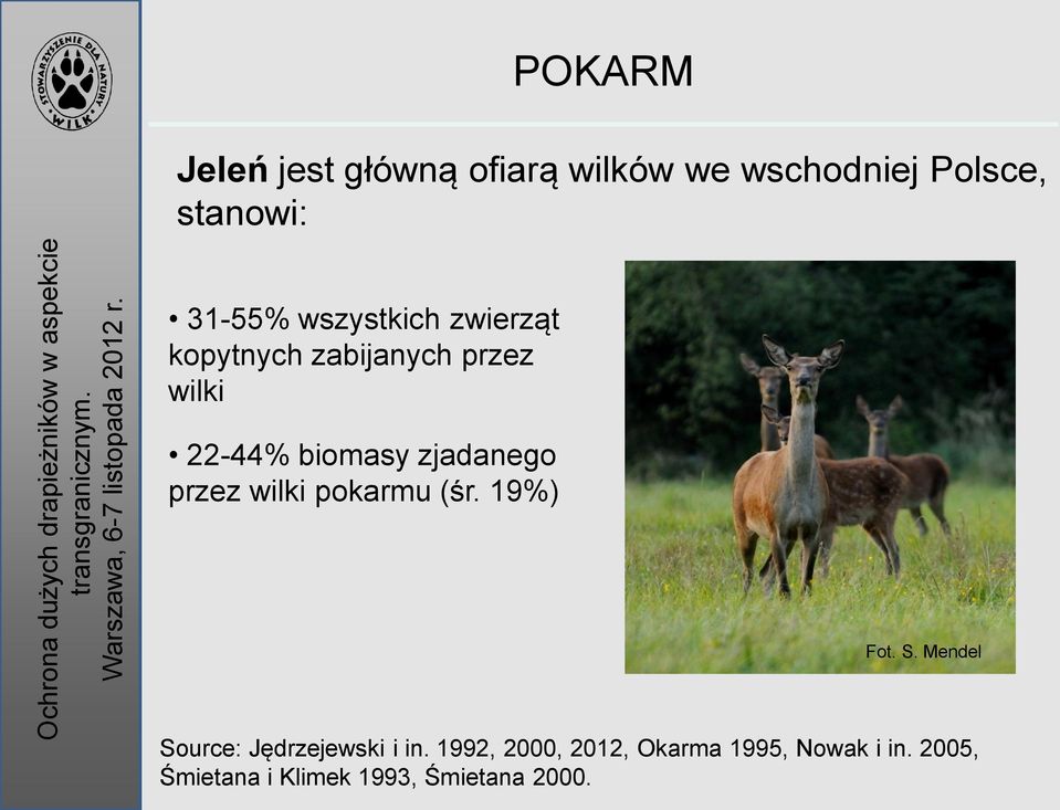 przez wilki pokarmu (śr. 19%) Fot. S. Mendel Source: Jędrzejewski i in.