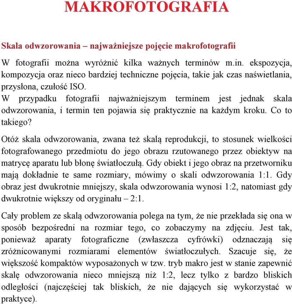 W przypadku fotografii najważniejszym terminem jest jednak skala odwzorowania, i termin ten pojawia się praktycznie na każdym kroku. Co to takiego?