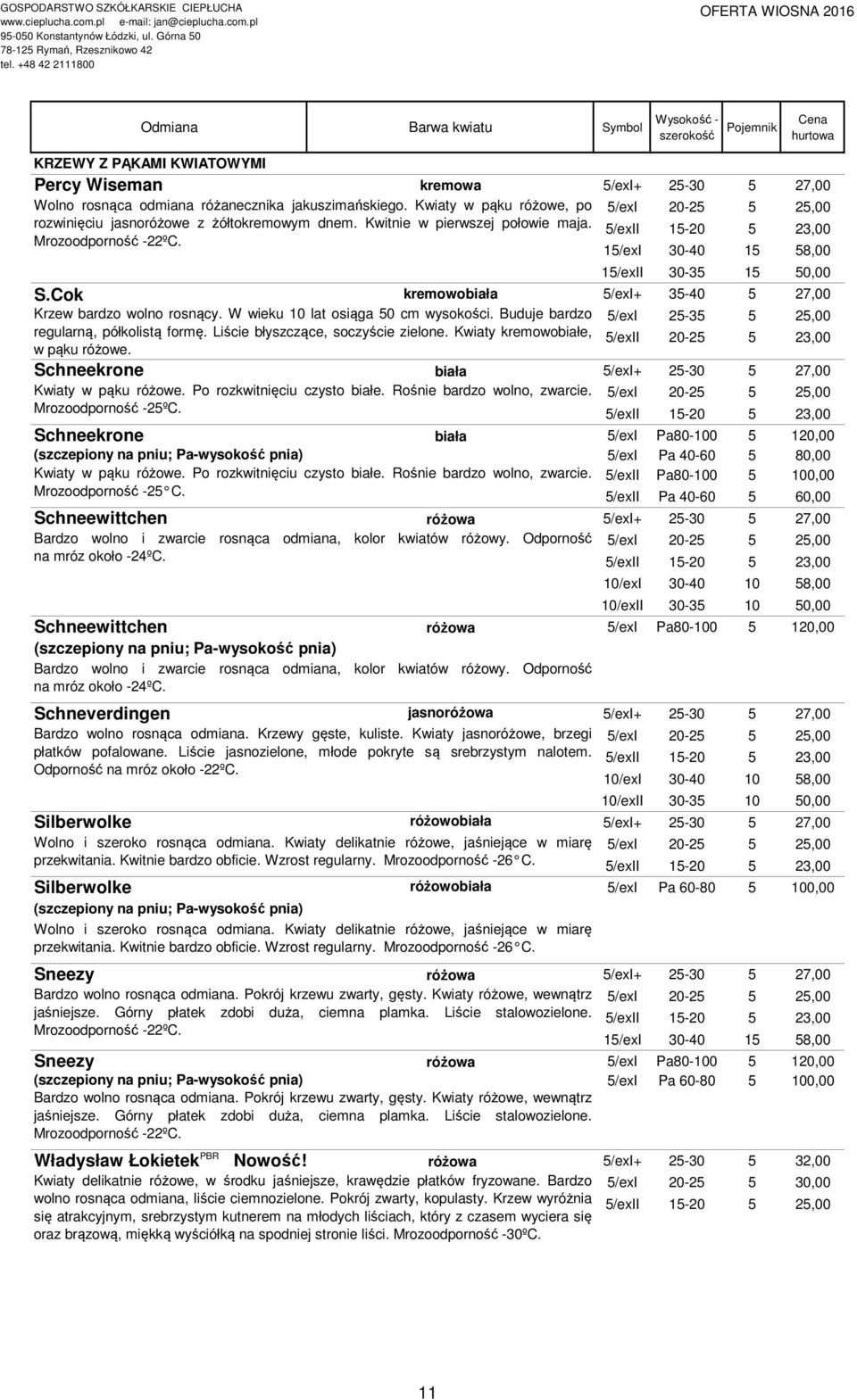 15/exI 15 58,00 15/exII 30-35 1 S.Cok kremowobiała 5/exI+ 35-40 5 27,00 Krzew bardzo wolno rosnący. W wieku 10 lat osiąga 50 cm wysokości.