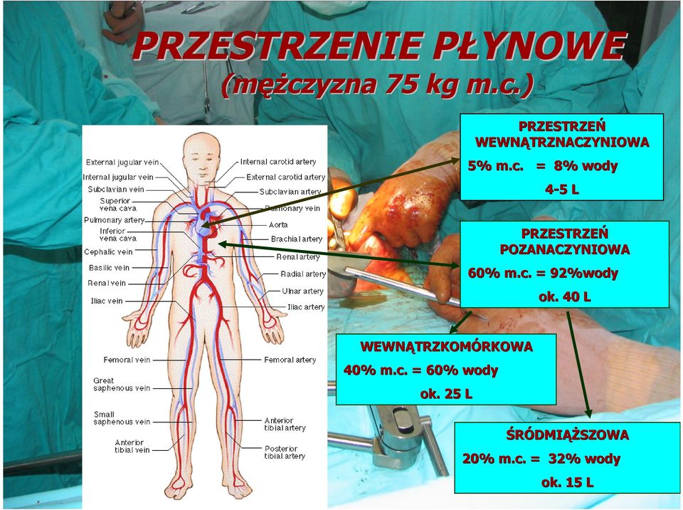 ) PRZESTRZEŃ WEWNĄTRZNACZYNIOWA 5% m.c.