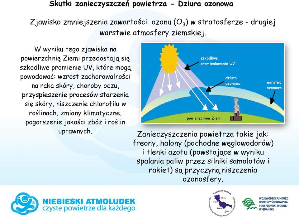 skóry, niszczenie chlorofilu w roślinach, zmiany klimatyczne, pogorszenie jakości zbóż i roślin uprawnych. warstwie atmosfery ziemskiej.