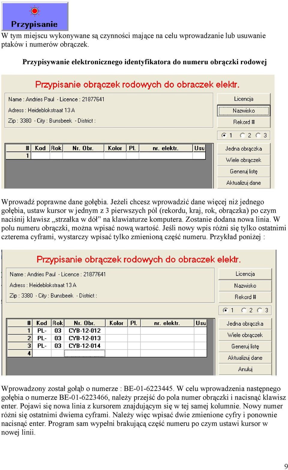 Jeżeli chcesz wprowadzić dane więcej niż jednego gołębia, ustaw kursor w jednym z 3 pierwszych pól (rekordu, kraj, rok, obrączka) po czym naciśnij klawisz strzałka w dół na klawiaturze komputera.