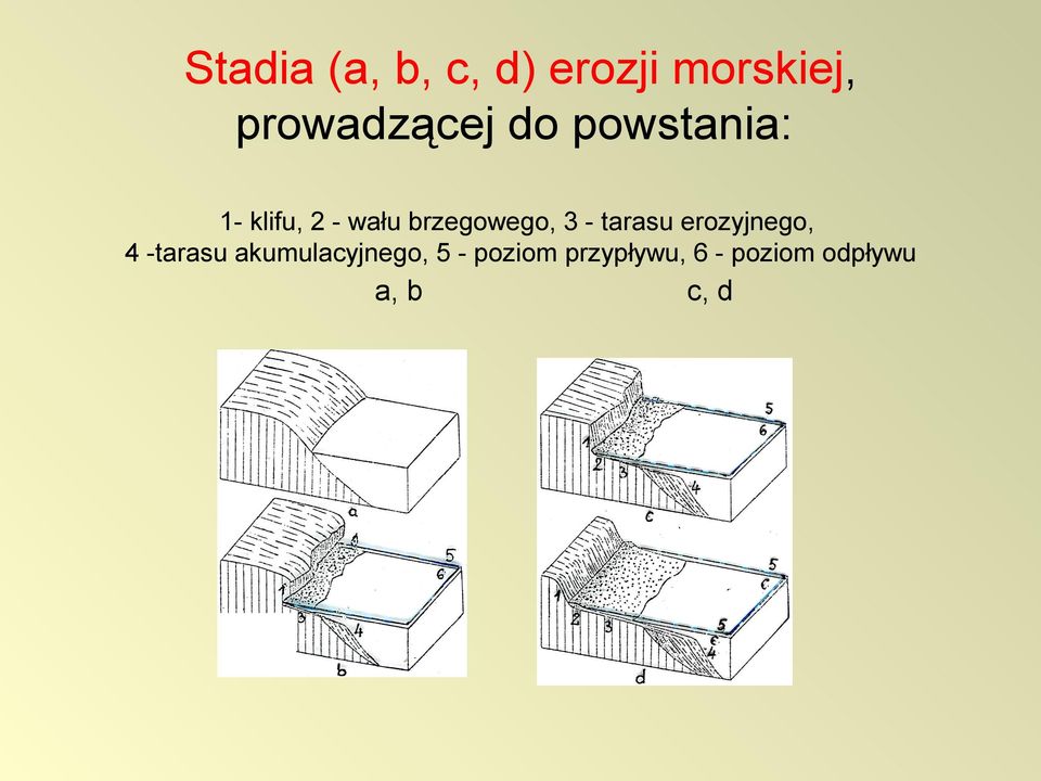 tarasu erozyjnego, 4 -tarasu akumulacyjnego, 5 -