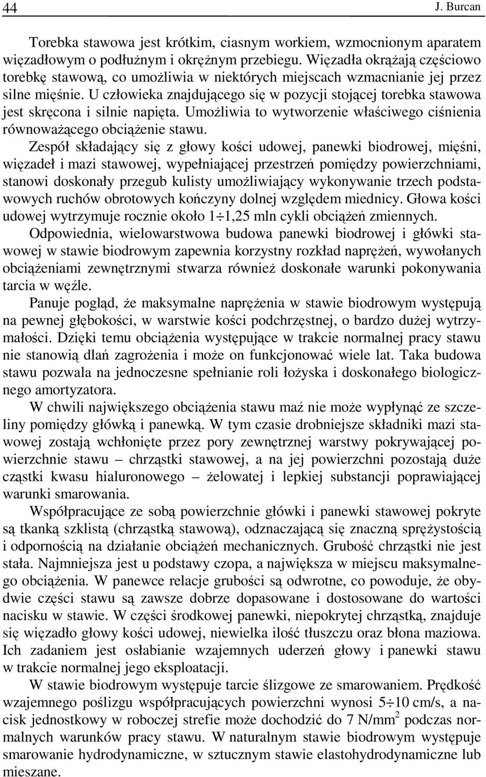 U człowieka znajdującego się w pozycji stojącej torebka stawowa jest skręcona i silnie napięta. Umożliwia to wytworzenie właściwego ciśnienia równoważącego obciążenie stawu.