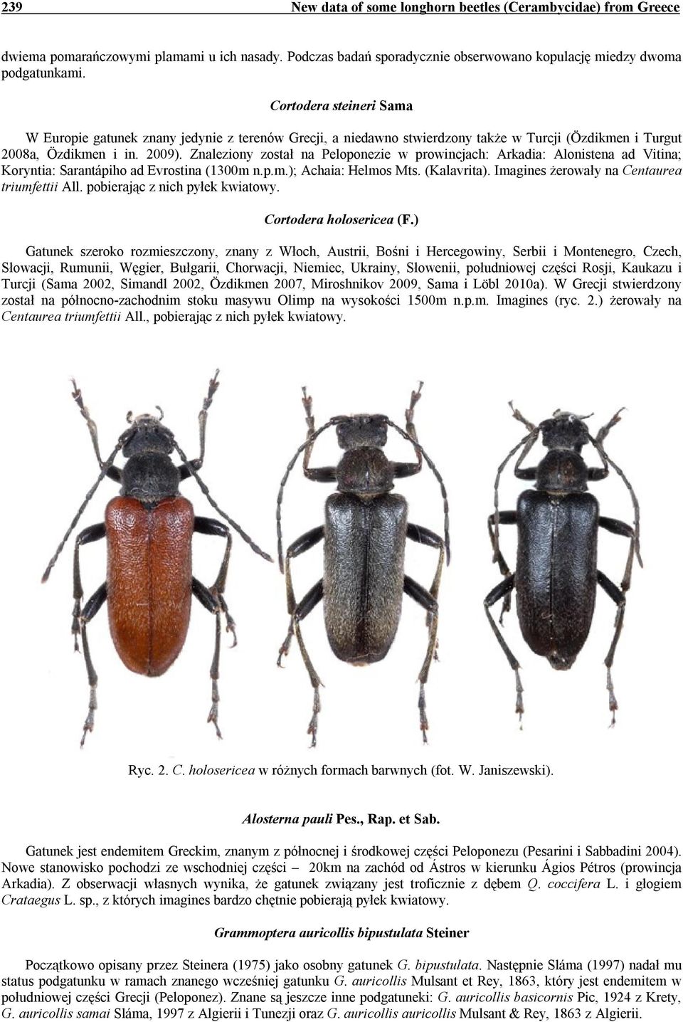 Znaleziony został na Peloponezie w prowincjach: Arkadia: Alonistena ad Vitina; Koryntia: Sarantápiho ad Evrostina (1300m n.p.m.); Achaia: Helmos Mts. (Kalavrita).