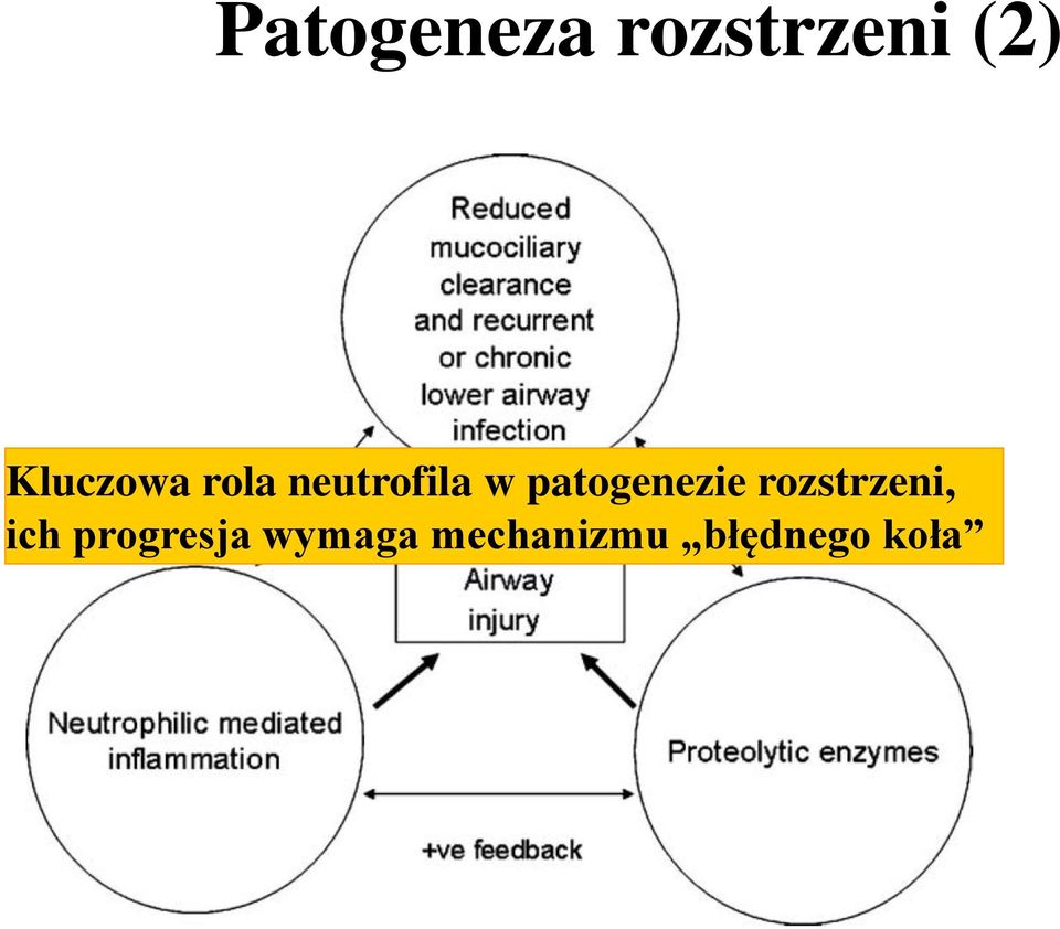 patogenezie rozstrzeni, ich