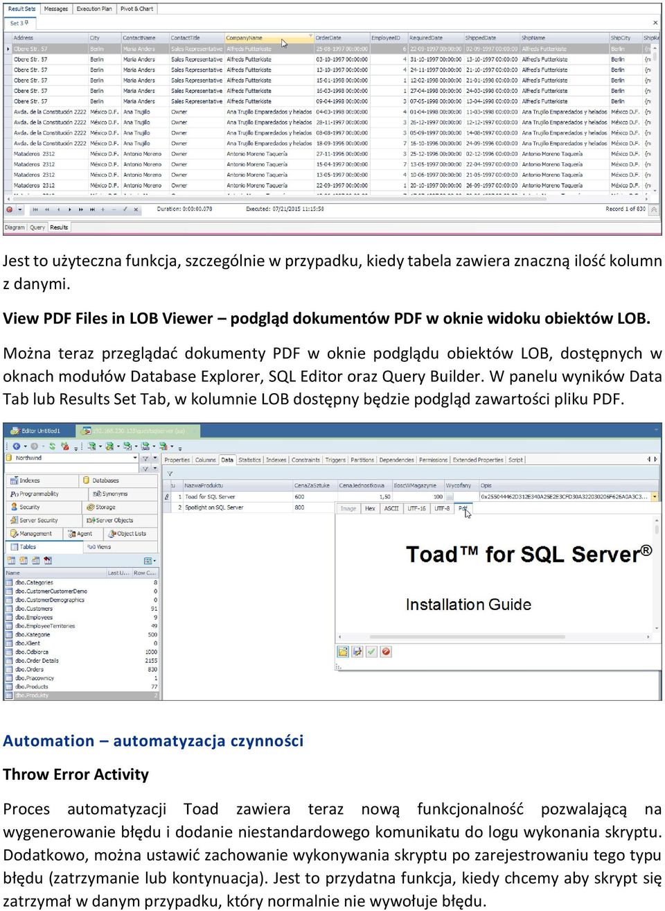 W panelu wyników Data Tab lub Results Set Tab, w kolumnie LOB dostępny będzie podgląd zawartości pliku PDF.