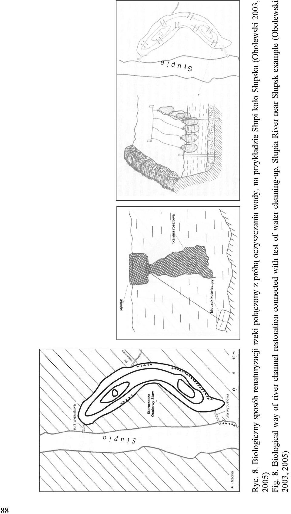 wody, na przykładzie Słupi koło Słupska (Obolewski 2003, 2005) Fig. 8.