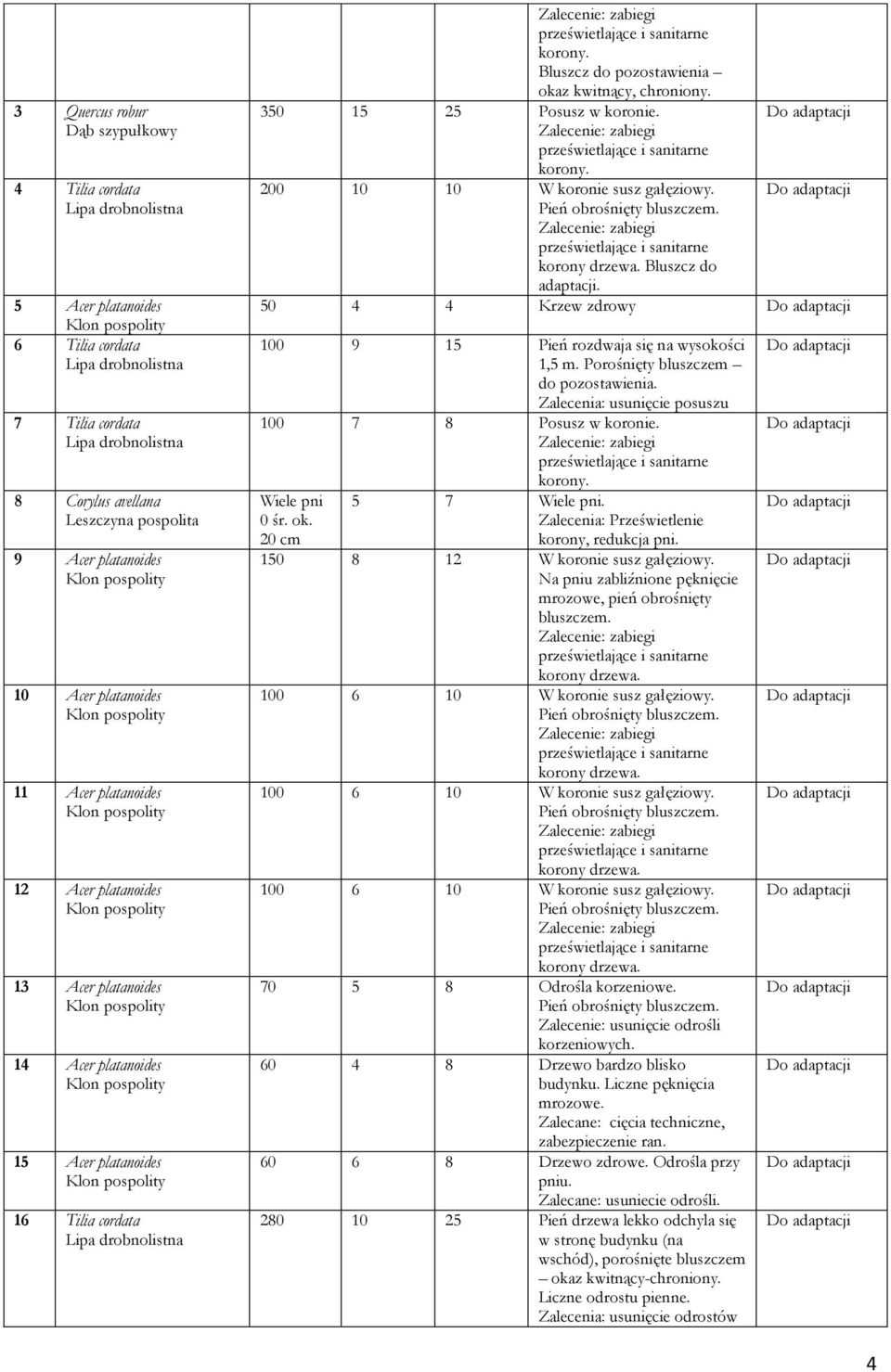 i sanitarne korony. 200 10 10 W koronie susz gałęziowy. Pień obrośnięty bluszczem. i sanitarne korony drzewa. Bluszcz do adaptacji. 50 4 4 Krzew zdrowy 100 9 15 Pień rozdwaja się na wysokości 1,5 m.