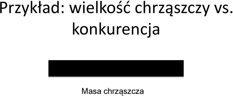 chrząszczy vs.