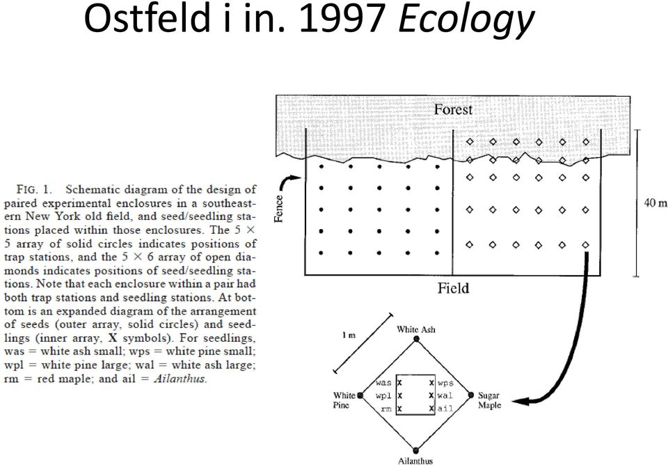 Ecology