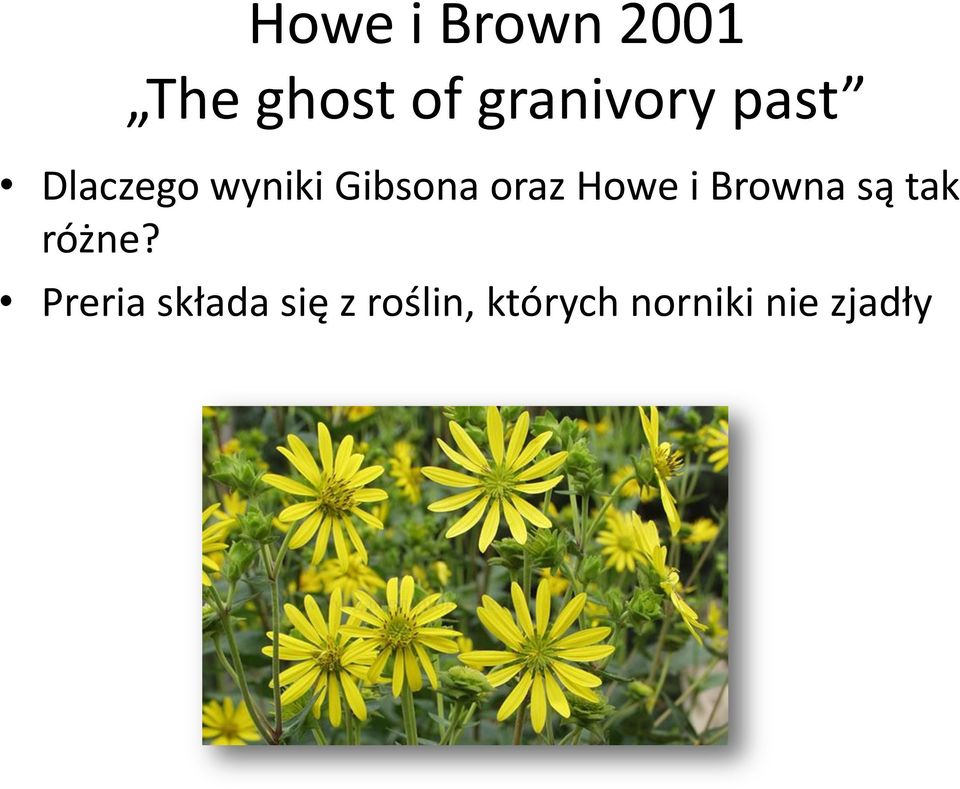 oraz Howe i Browna są tak różne?