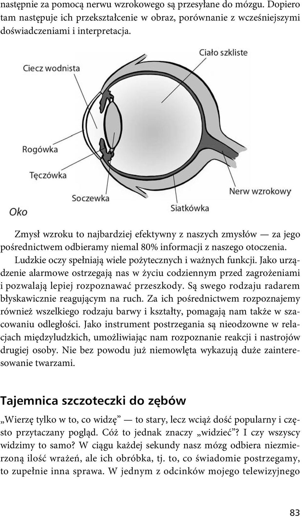 Jako urządzenie alarmowe ostrzegają nas w życiu codziennym przed zagrożeniami i pozwalają lepiej rozpoznawać przeszkody. Są swego rodzaju radarem błyskawicznie reagującym na ruch.