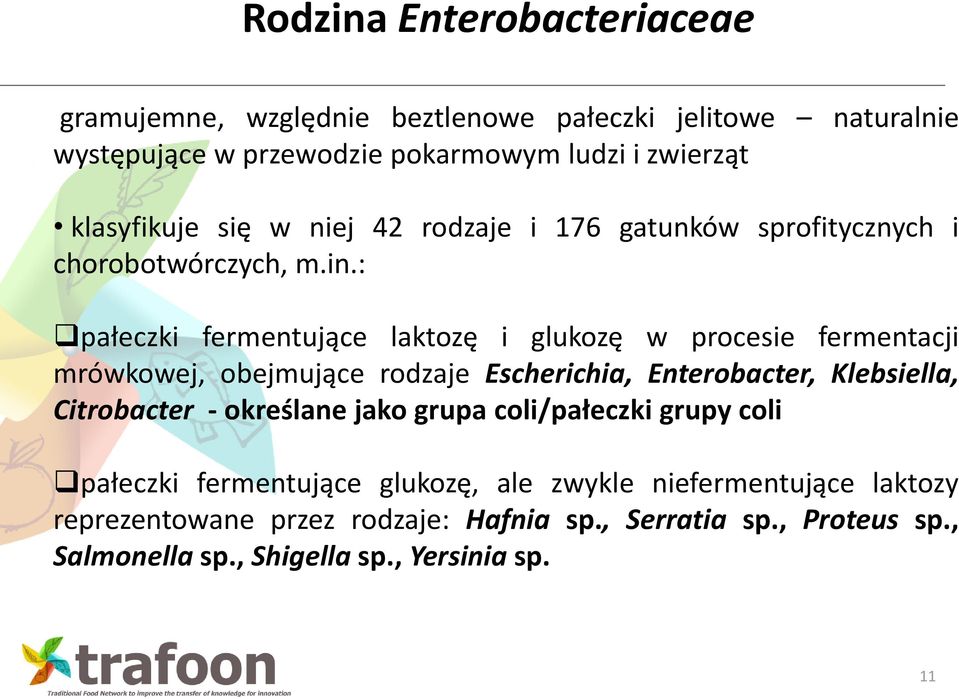 : pałeczki fermentujące laktozę i glukozę w procesie fermentacji mrówkowej, obejmujące rodzaje Escherichia, Enterobacter, Klebsiella, Citrobacter -