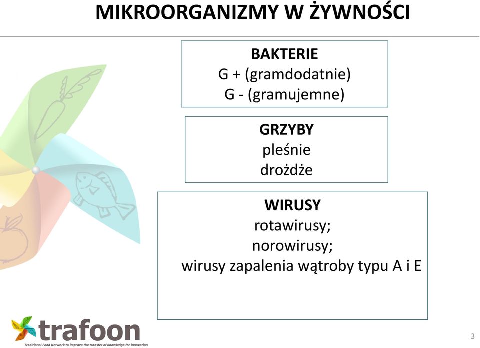 pleśnie drożdże WIRUSY rotawirusy;