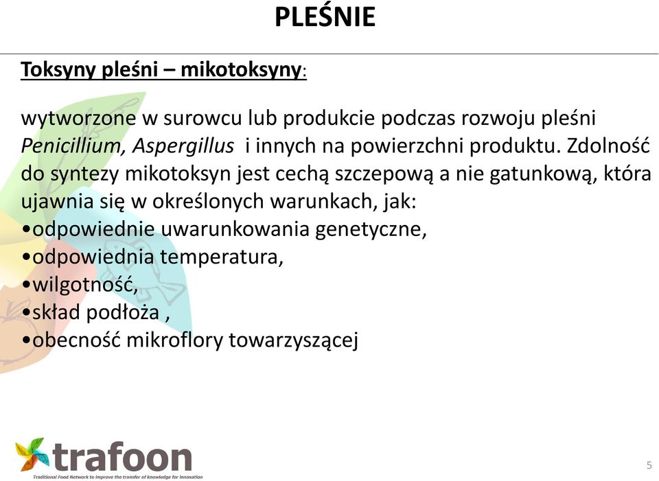 Zdolność do syntezy mikotoksyn jest cechą szczepową a nie gatunkową, która ujawnia się w