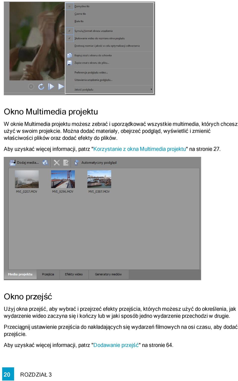 Aby uzyskać więcej informacji, patrz "Korzystanie z okna Multimedia projektu" na stronie 27.
