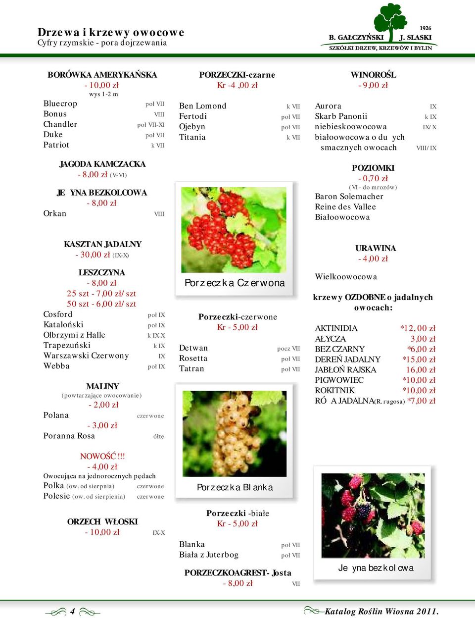 KAMCZACKA POZIOMKI - 8,00 zł (V-VI) - 0,70 zł (VI - do mrozów) JEŻYNA BEZKOLCOWA Baron Solemacher - 8,00 zł Reine des Vallee Orkan VIII Białoowocowa KASZTAN JADALNY - 30,00 zł (IX-X) ŻURAWINA - zł